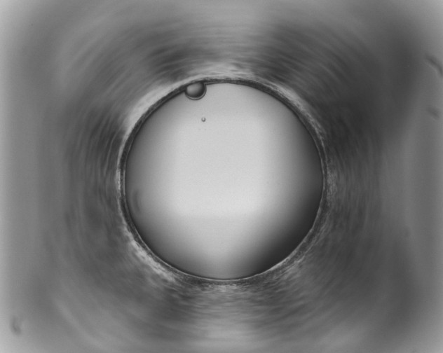 X0000099521335200806051202