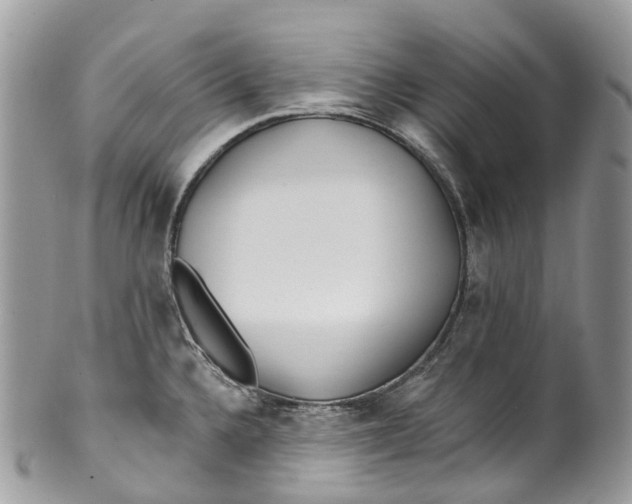 X0000099521336200806051202