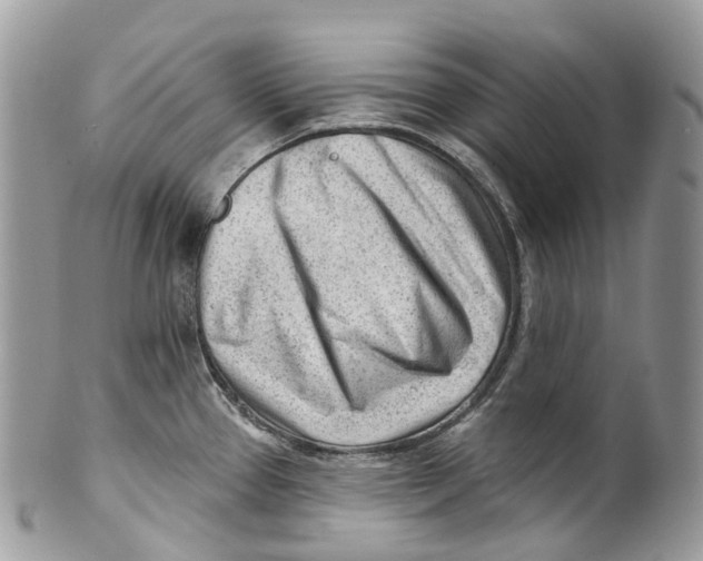 X0000099521337200806051202