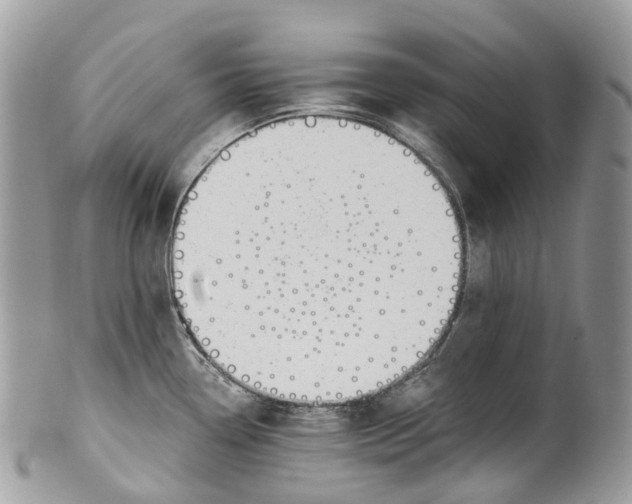 X0000099521338200806051202