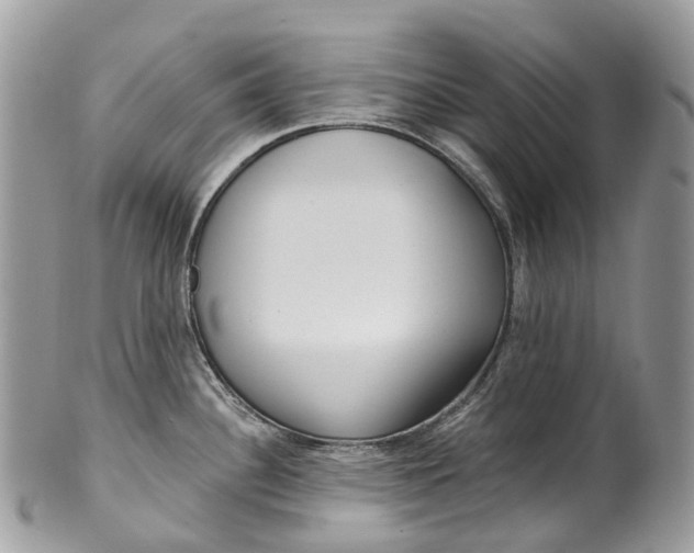 X0000099521340200806051202