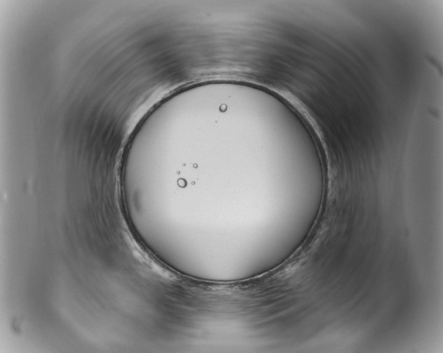 X0000099521341200806051202