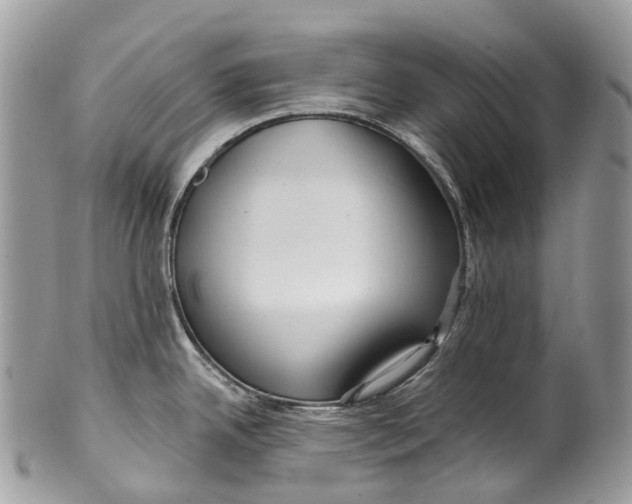 X0000099521342200806051202