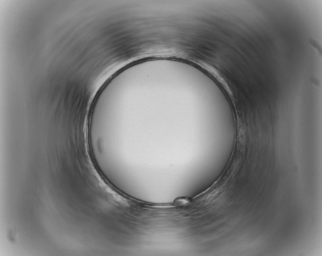 X0000099521343200806051202