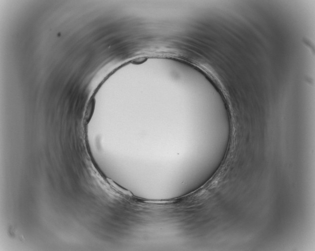 X0000099521344200806051202