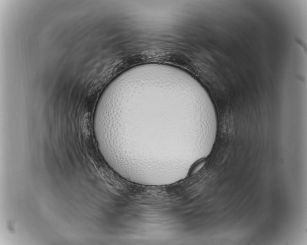 X0000099521346200806051201