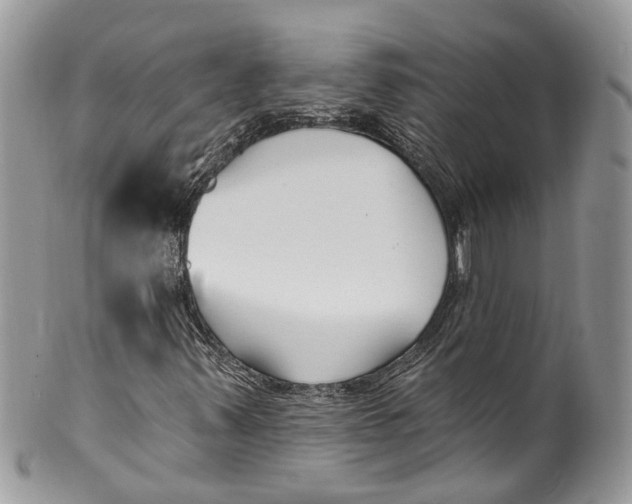 X0000099521347200806051201