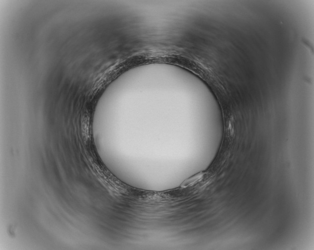 X0000099521348200806051201