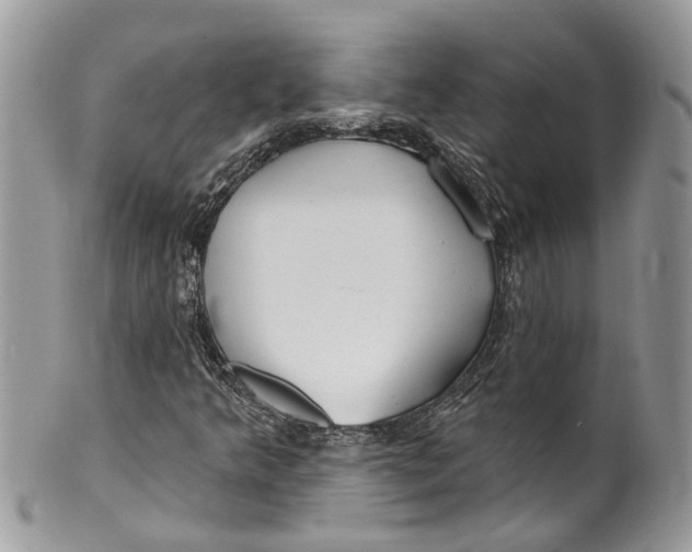 X0000099521349200806051201