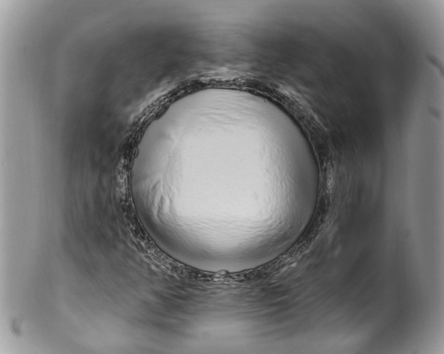 X0000099521350200806051201