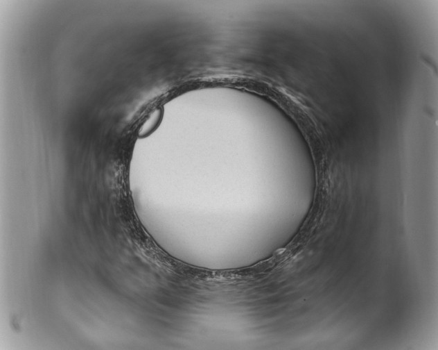 X0000099521351200806051201