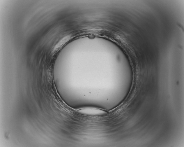 X0000099521354200806051201