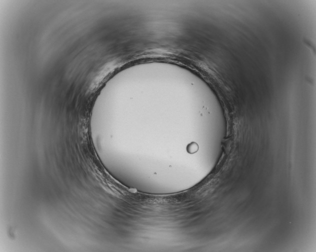 X0000099521355200806051201