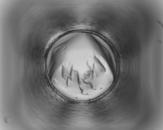 X0000099521358200806051201