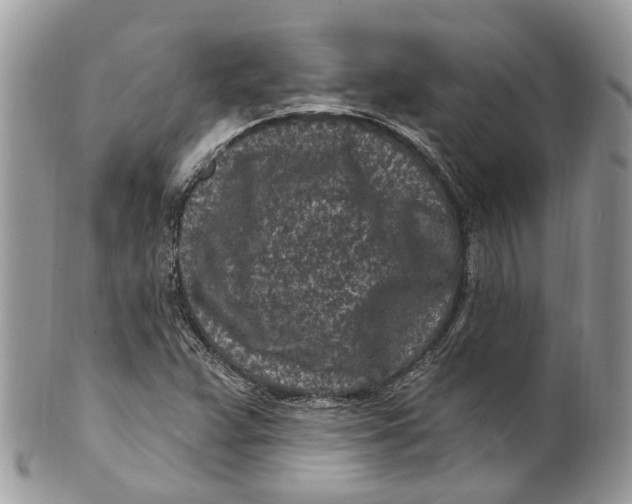 X0000099521359200806051201