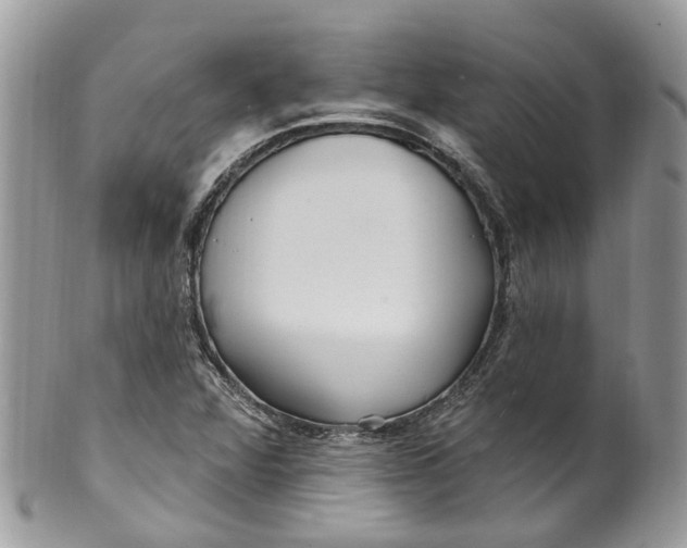 X0000099521360200806051201