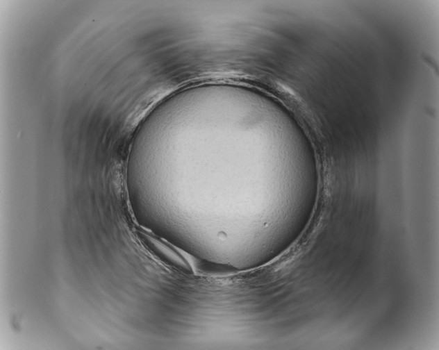 X0000099521361200806051201