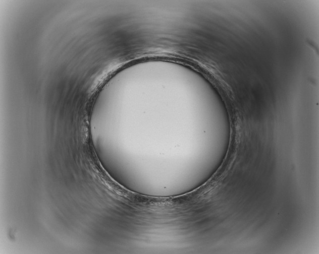 X0000099521363200806051201