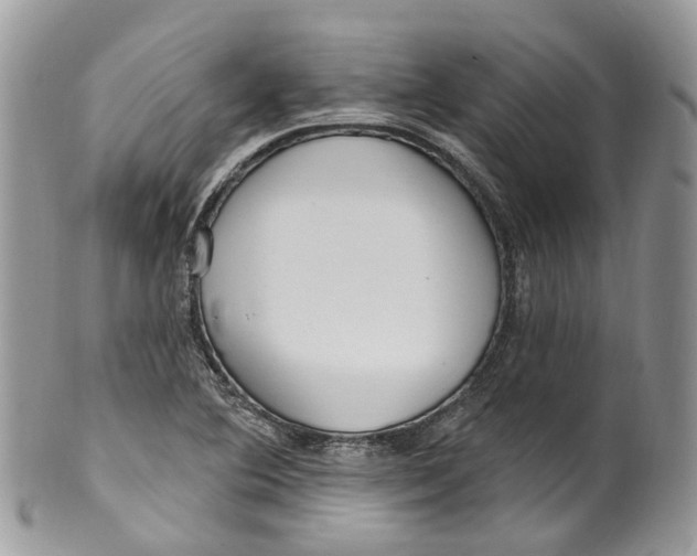 X0000099521364200806051201