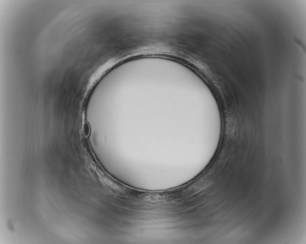 X0000099521366200806051201