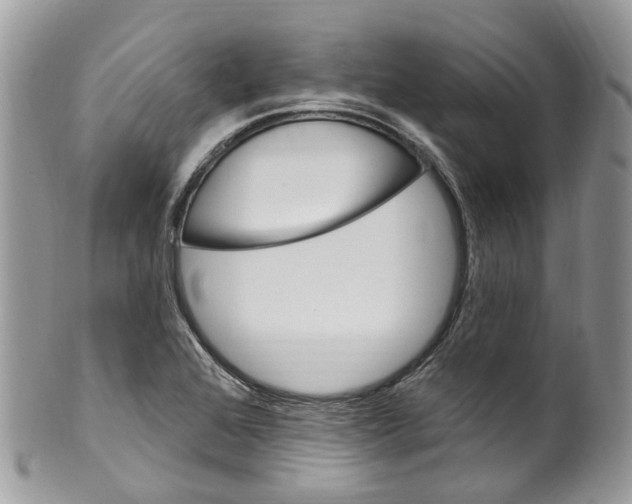 X0000099521368200806051201