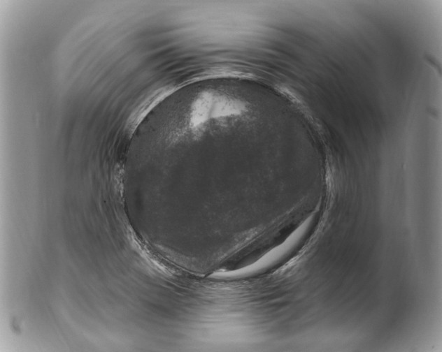 X0000099521369200806051201