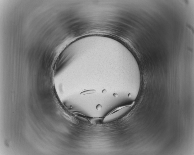 X0000099521371200806051201