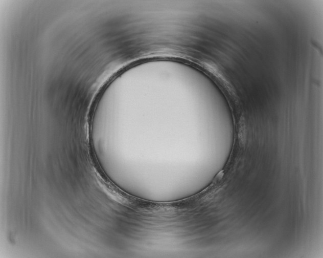 X0000099521372200806051200