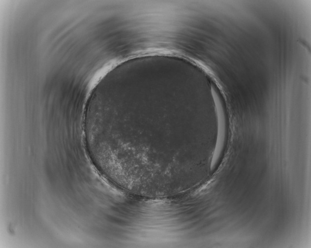 X0000099521373200806051200