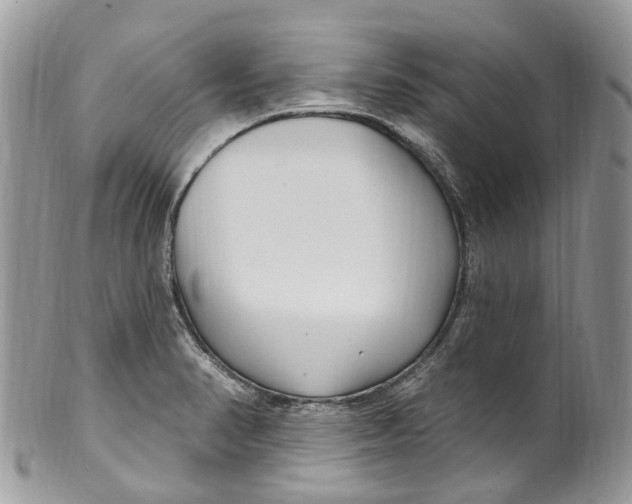 X0000099521374200806051200