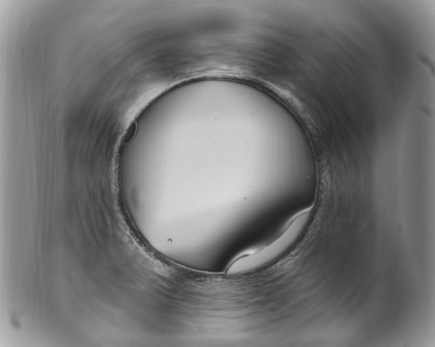 X0000099521375200806051200