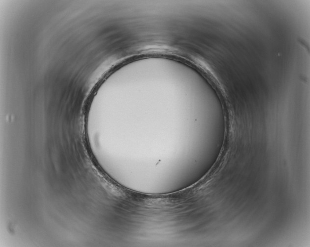 X0000099521376200806051200