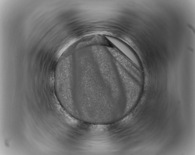 X0000099521377200806051200