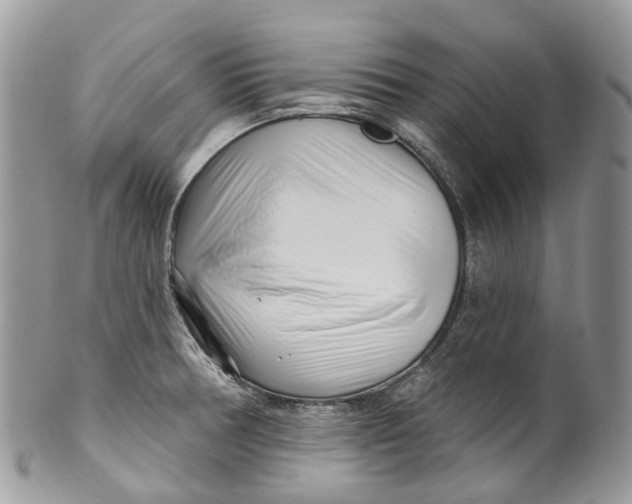 X0000099521378200806051200