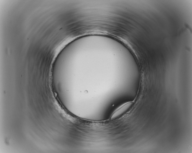 X0000099521379200806051200