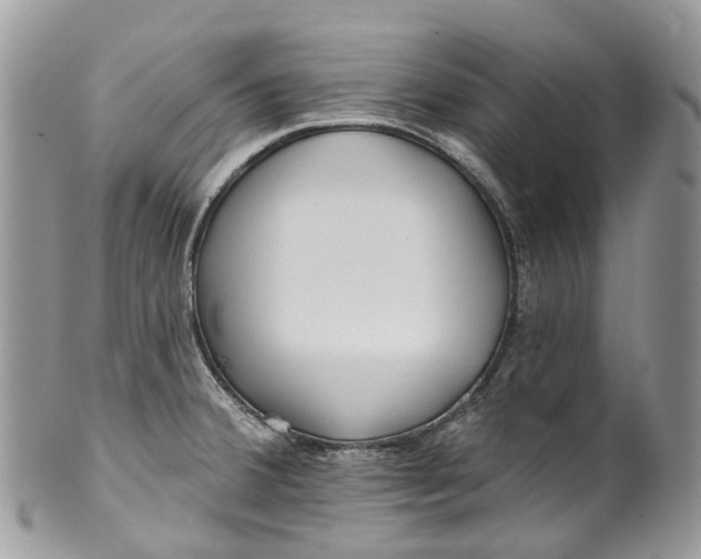 X0000099521380200806051200