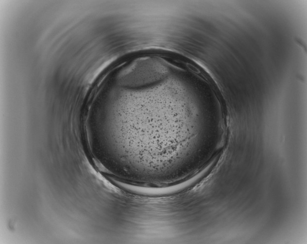 X0000099521381200806051200