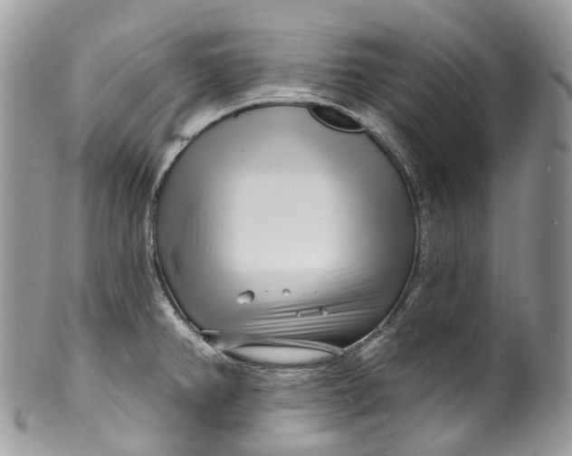 X0000099521382200806051200