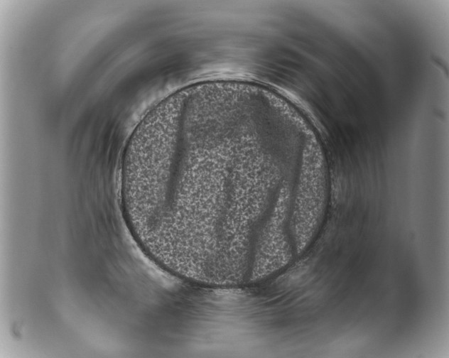 X0000099521383200806051200