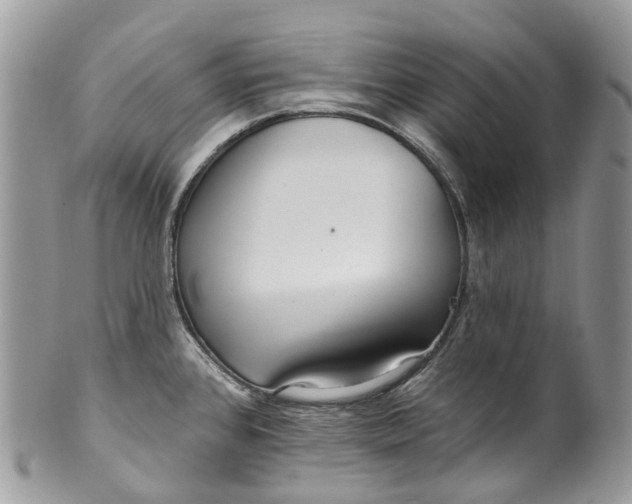 X0000099521384200806051200