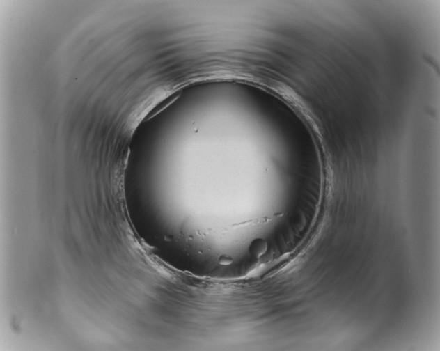 X0000099521385200806051200