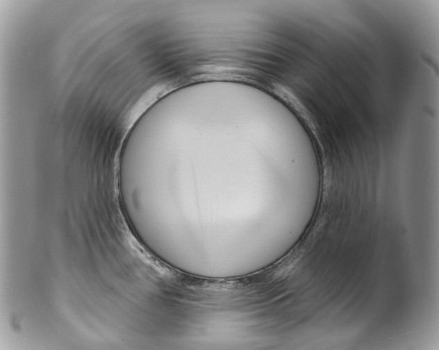 X0000099521386200806051200