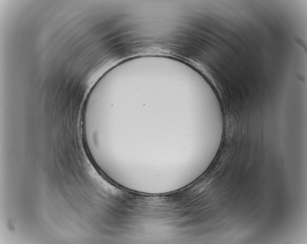 X0000099521387200806051200