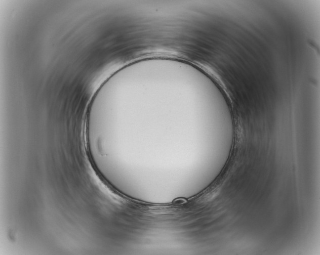 X0000099521391200806051200