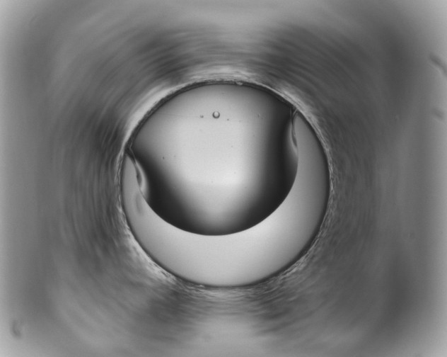 X0000099521392200806051200