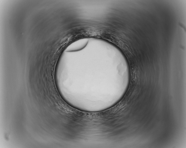 X0000099521393200806051159