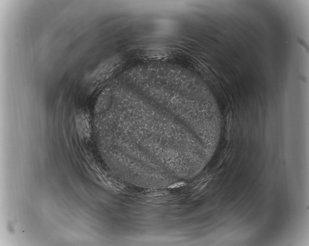 X0000099521394200806051159