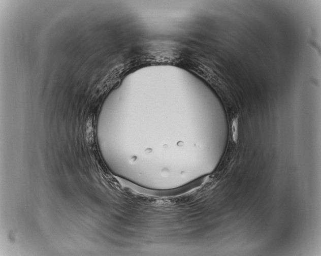 X0000099521395200806051200