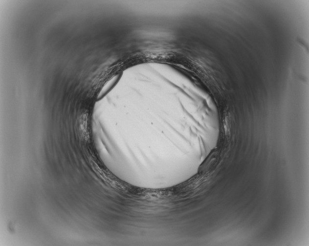 X0000099521396200806051200