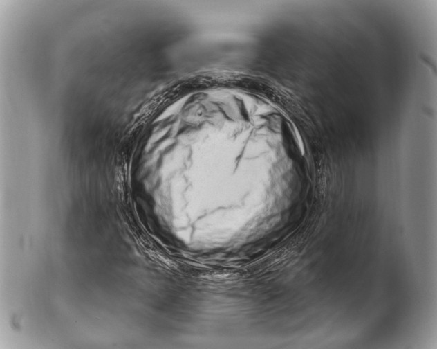 X0000099521397200806051200